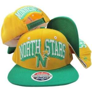  Minnesota North Stars Gold/Green Two Tone Snapback 