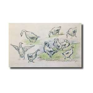  Ducks crayon Giclee Print