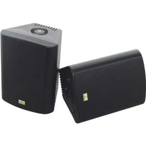  5.25 Black Cabinet Speaker Electronics