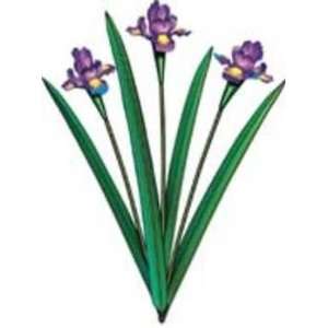  Imitation Blue Iris