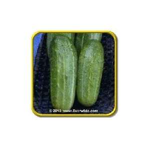   Wisconsin SMR58   Bulk Pickling Cucumber Seeds Patio, Lawn & Garden