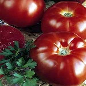    Organic Super Marmande Slicing Tomato: Patio, Lawn & Garden