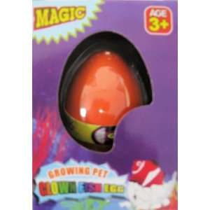  Hatching Clown Fish Egg: Toys & Games