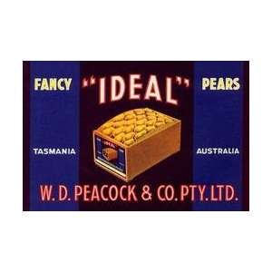  Ideal Fancy Pears 20x30 poster