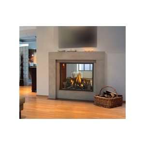   See Thru Direct Vent Natural Gas Fireplace   7237