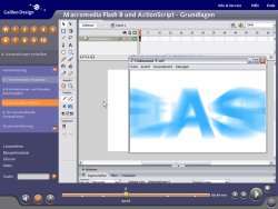 Video Training Macromedia Flash 8 und Actionscript   Grundlagen 