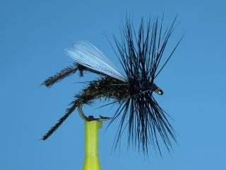 Twelve of our superb trout flies tied on quality Japanese hooks that 