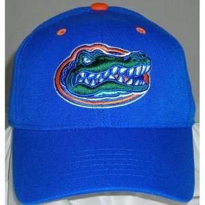  Gators One Fit NCAA Wool Flex Cap (Team Color)