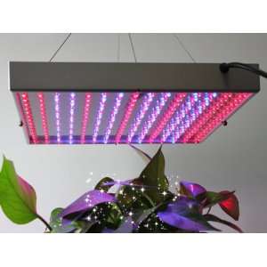   Red/Blue LED Plant Hydroponic Grow Light with 225 LED 14W US Version