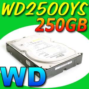 Western Digital WD2500YS 250GB Hard Drive HDD 250 GB  