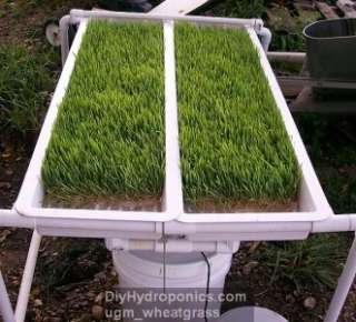 DIY HYDROPONICS AQUAPONIC SYSTEMS HOW TO PLANS Gardening, Fish 
