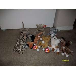   Beanie Babys (Chip,Scat,Freckles,Nip,Canyon,Prance,Pounce, and Snip