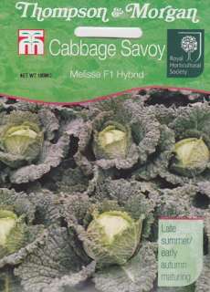 Melissa Hybrid Savoy Cabbage Seeds   100 mg  