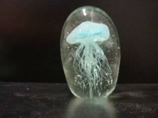  Gym Rats review of Hot Blue Glass Crystal Jellyfish (Glow i