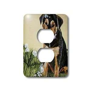 Amy Hurley Heath Animals   Puppies   Black and Tan Puppy Plaing with 
