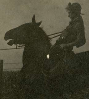 VINTAGE ARTISTIC COWBOY LASSO WESTERN AMERICANA HORSE SADDLE OLD RPPC 