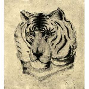 1906 Print Tiger Head Artwork Rudyard Kipling Wildlife Animals Exotic 