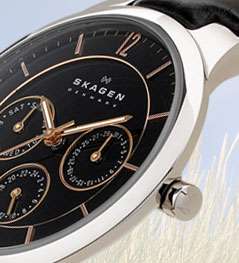  Skagen Mens 233XLTMB Titanium Watch Skagen Watches