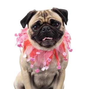 Aria Valentine Scrunchy Dog Collar SM Pink/Magenta NEW  