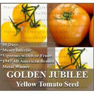  1 oz (10,000+) GOLDEN JUBILEE Tomato Seeds HEIRLOOM SWEET 