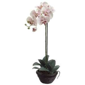   Pink Phalaenopsis Orchid Silk Flower Plants 22