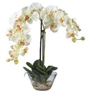  Real Looking Phalaenopsis w/Glass Vase Silk Flower 