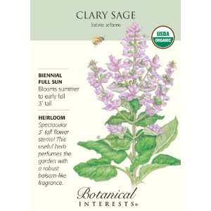  Organic Clary Sage Seeds Patio, Lawn & Garden