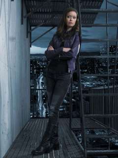 Terminator The Sarah Connor Chronicles Poster   44  