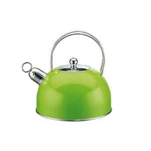 Classic Color Stainless Steel Kettle in Green Kitchen 