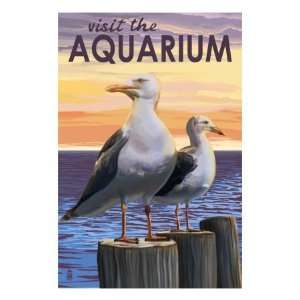  Visit the Aquarium, Sea Gulls Scene Animal Premium Poster 